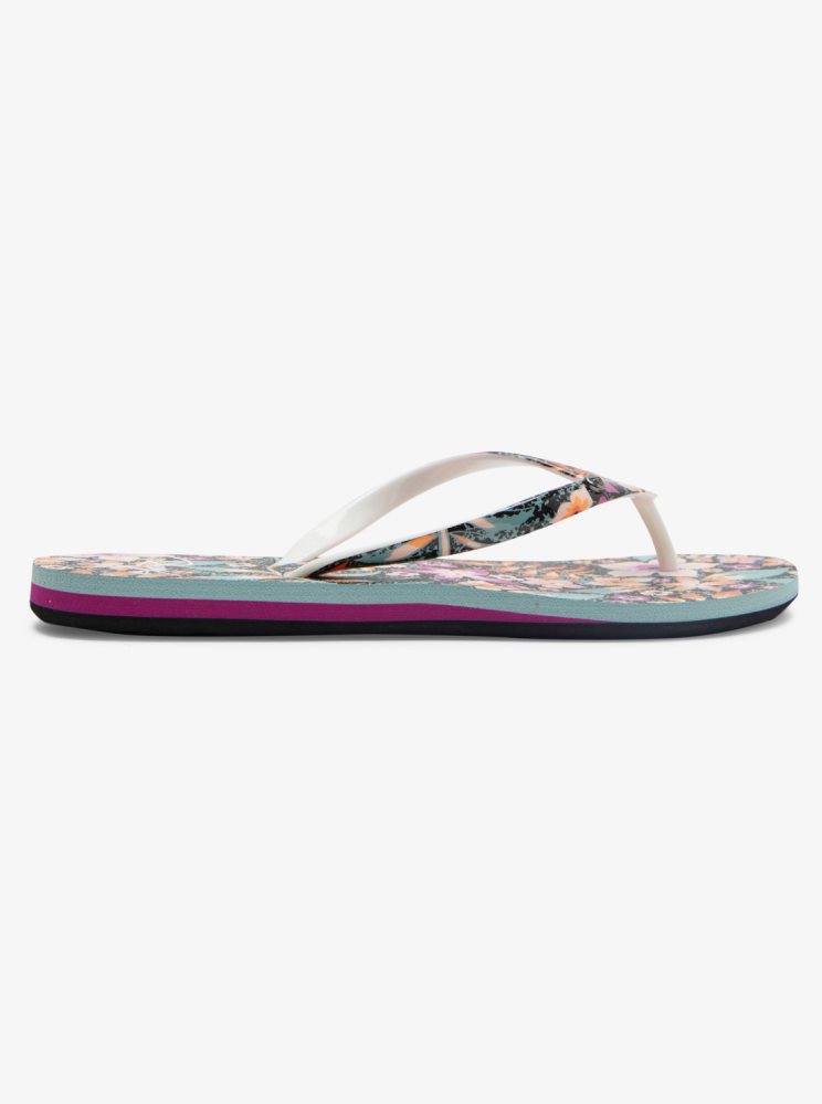 Black / Purple / Orange Women's Roxy Portofino Flip Flops | USA FUSN-38976