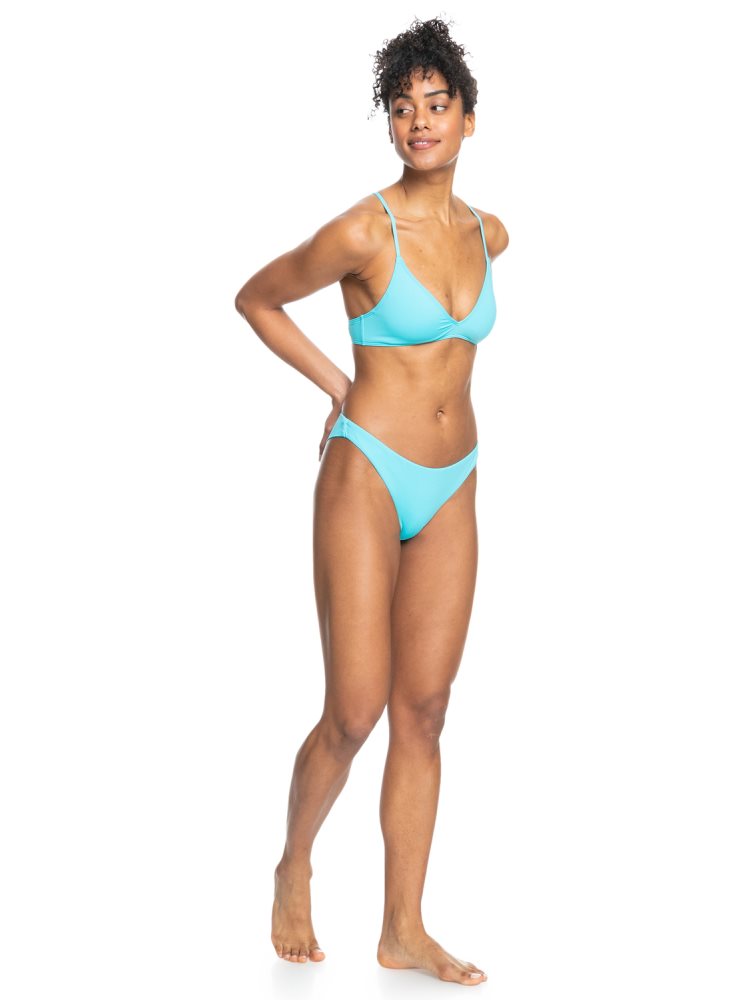 Blue Women's Roxy Beach Classics Cheeky Bikini Bottoms | USA PAFT-15927