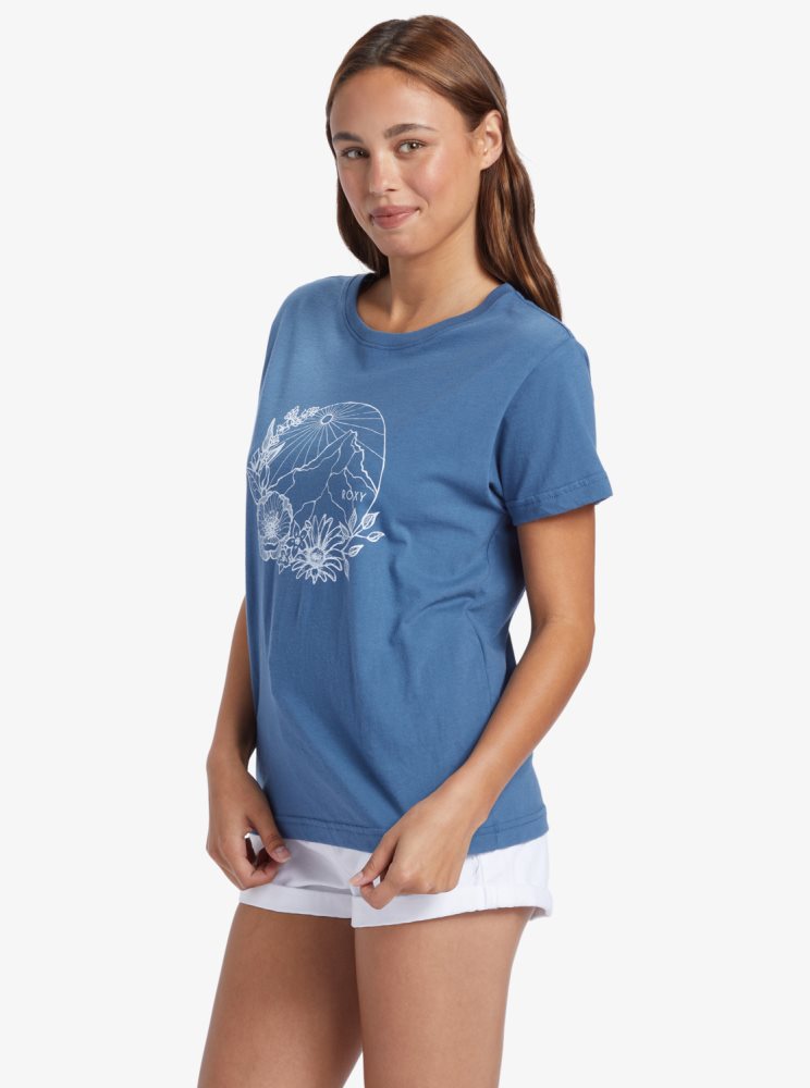 Blue Women's Roxy Mountain Day Oversized T Shirts | USA UPDJ-78493