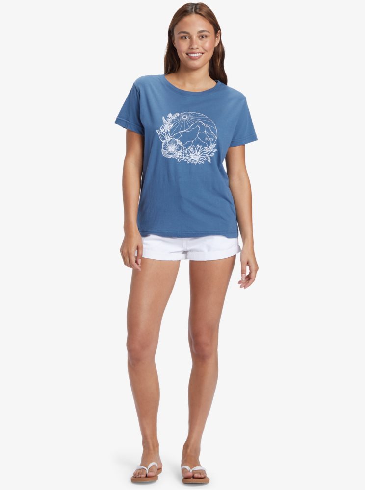 Blue Women's Roxy Mountain Day Oversized T Shirts | USA UPDJ-78493