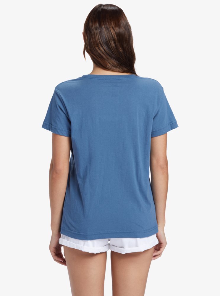 Blue Women's Roxy Mountain Day Oversized T Shirts | USA UPDJ-78493