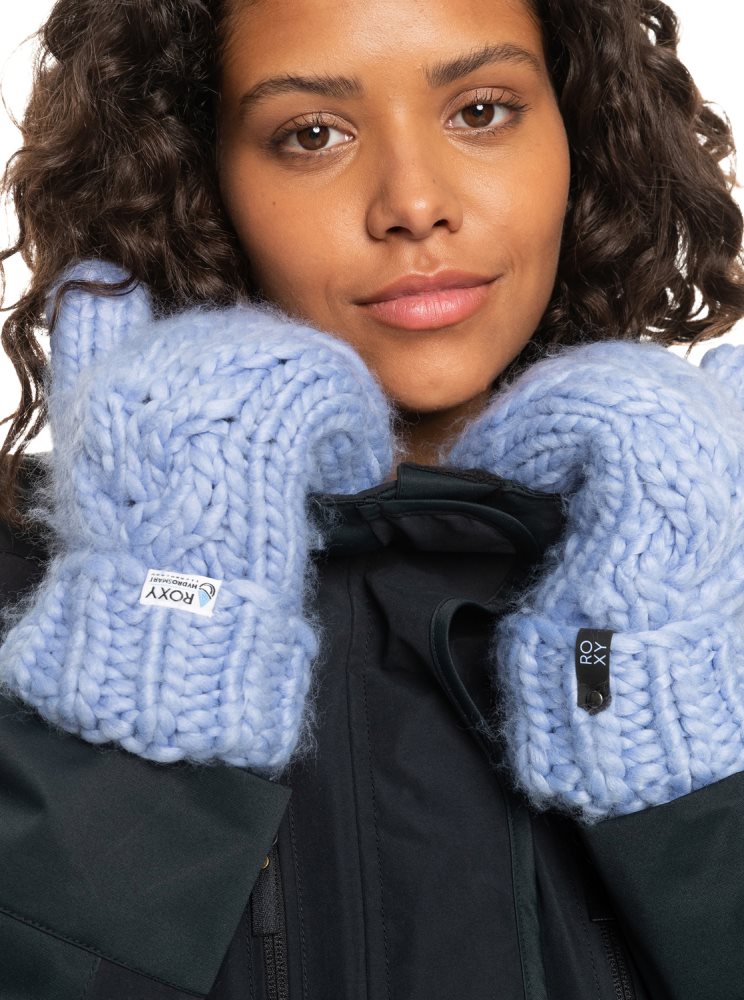 Blue Women's Roxy Winter Mittens Snow Gloves | USA FIAW-95683