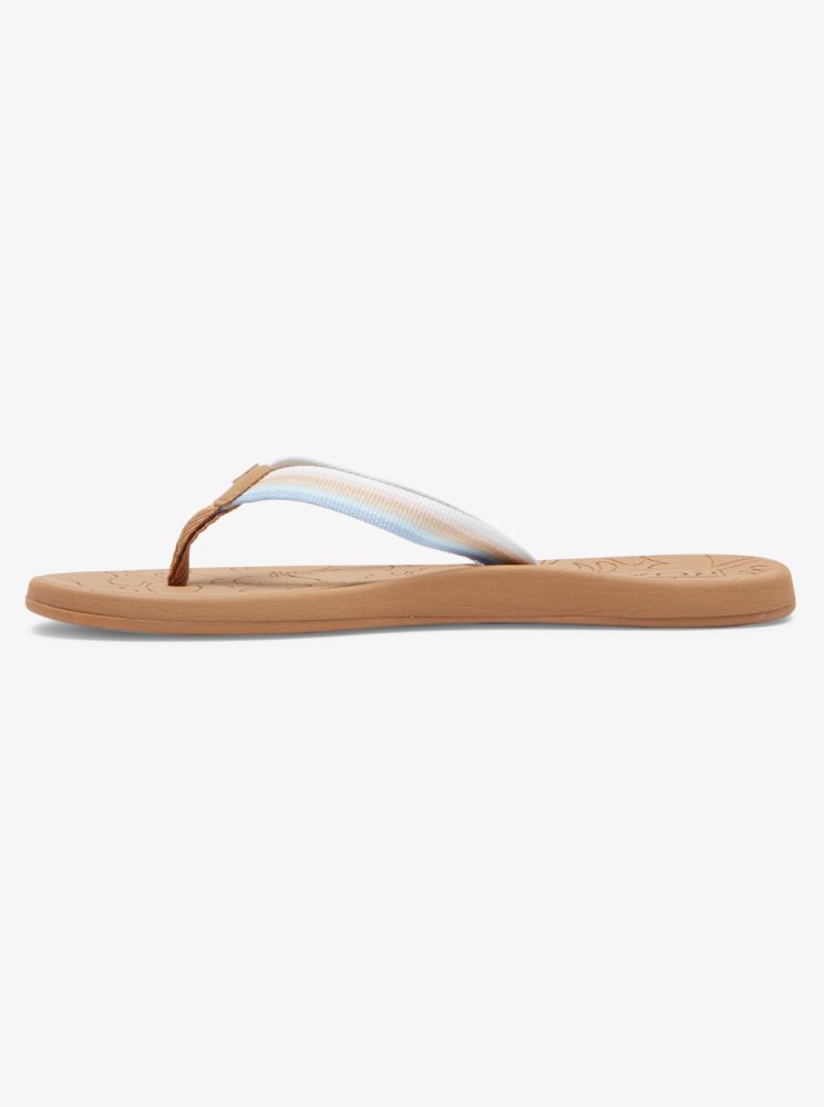 Brown / Blue Women's Roxy Colbee Sandals | USA XPIU-28416