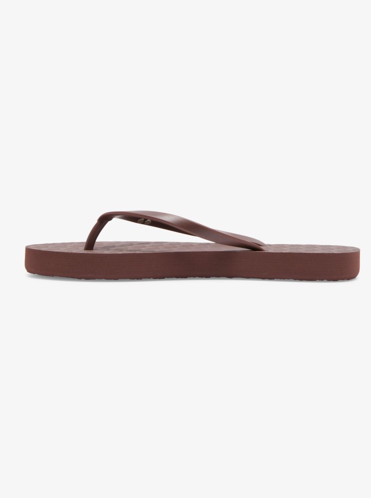 Chocolate Women's Roxy Viva Hi Sandals | USA CONX-02563