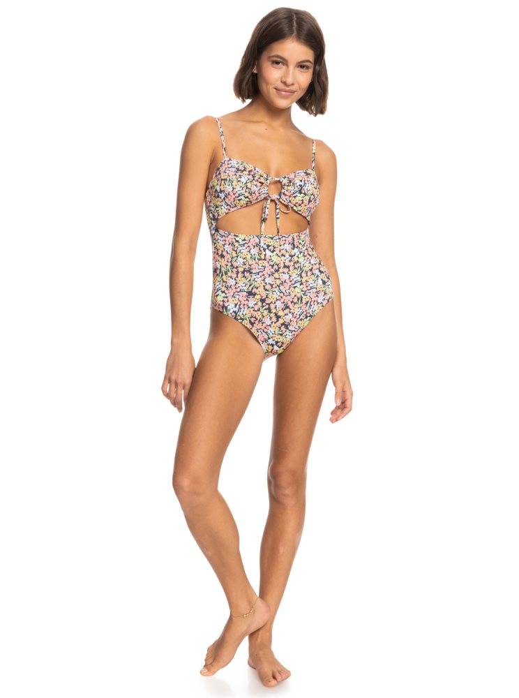 Indigo Women's Roxy Printed Beach Classics One Piece Swimsuits | USA XWUS-43958