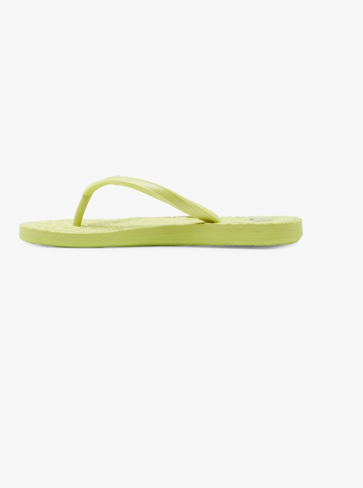 Light Green Kids' Roxy 4-16 Antilles Flip Flops | USA ECJS-67284