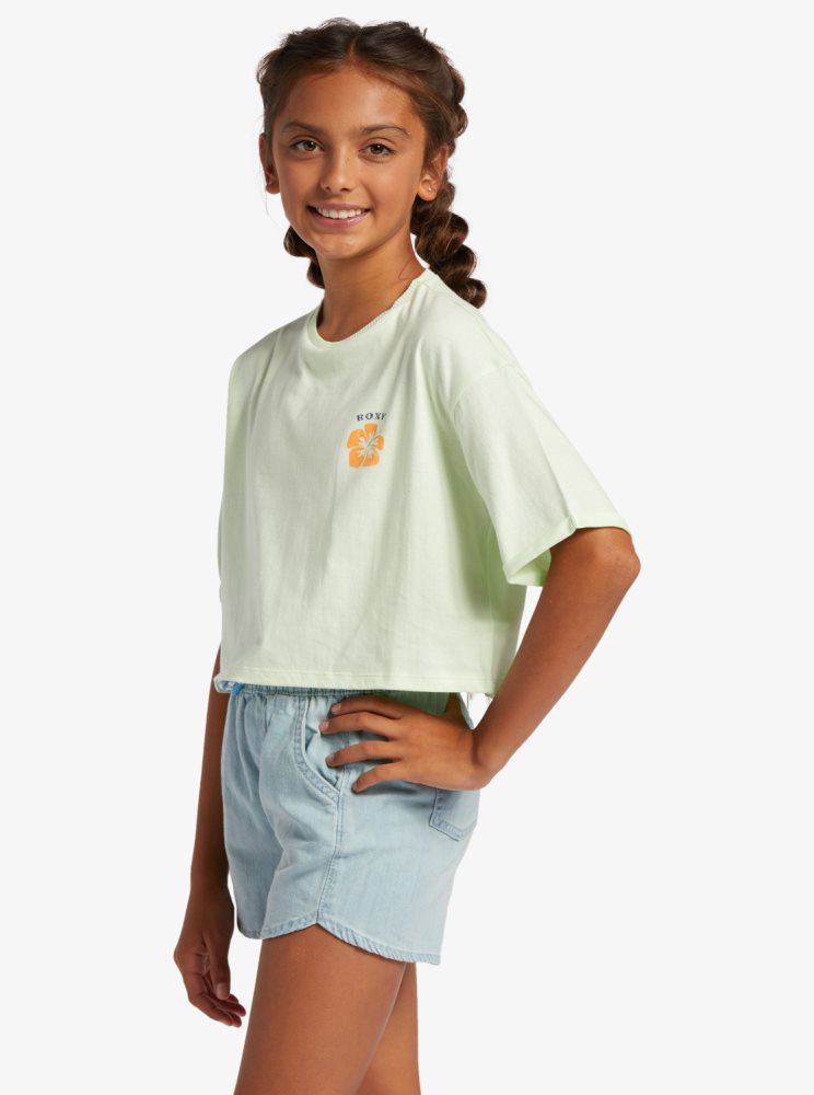 Light Green Kids' Roxy 4-16 Call You Mine Oversized Cropped T Shirts | USA XUCR-56290