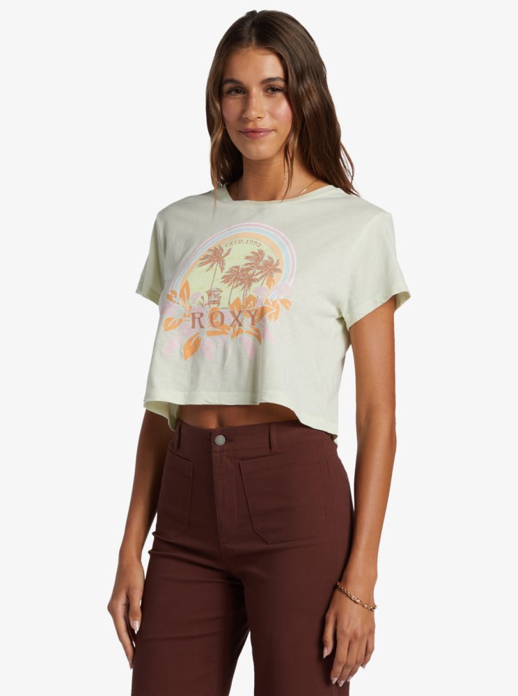 Light Green Women's Roxy Haleiwa Moment Cropped Baby T Shirts | USA OSTW-56193