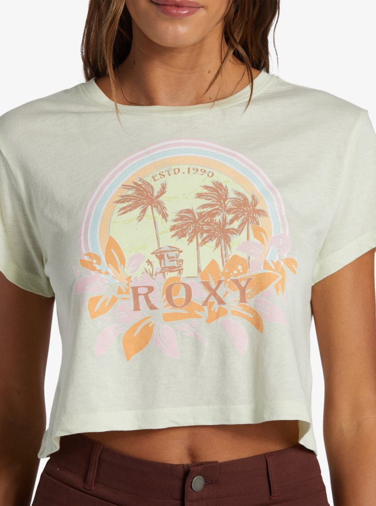 Light Green Women's Roxy Haleiwa Moment Cropped Baby T Shirts | USA OSTW-56193