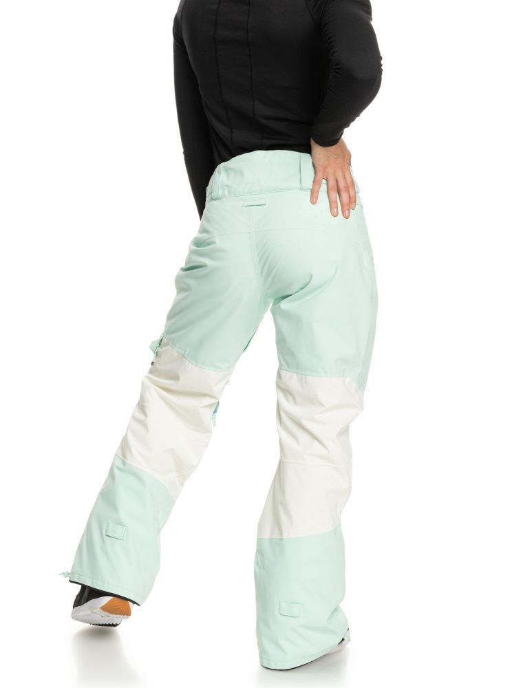 Light Turquoise Women's Roxy Wood Rose Insulated Snow Pants | USA IFEW-26541