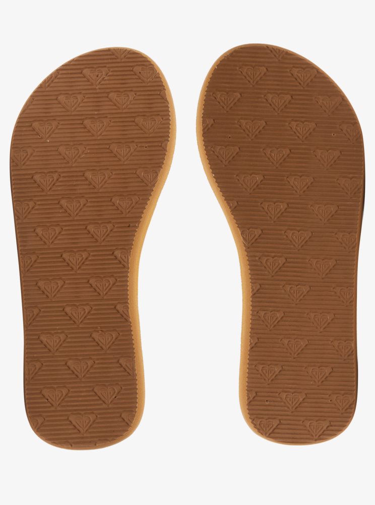 Multicolor Kids' Roxy 4-16 Colbee Flip Flops | USA TQAF-40283