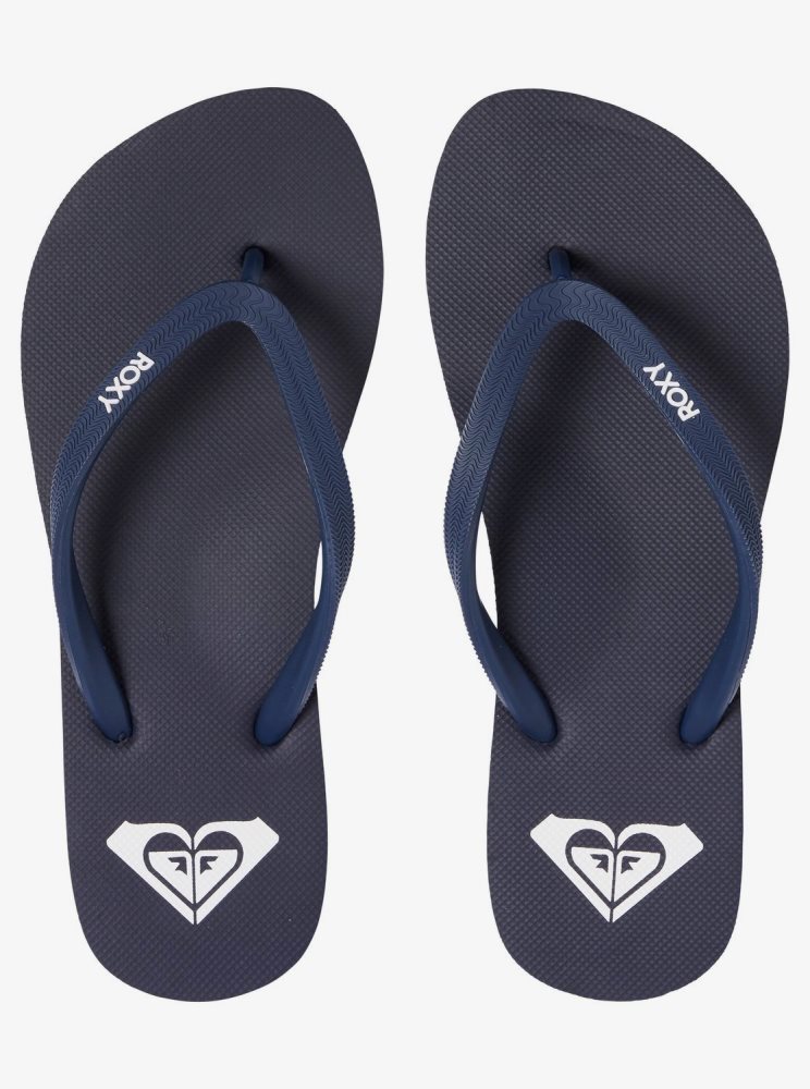 Navy Women's Roxy Azul Basic Flip Flops | USA CBNG-54039