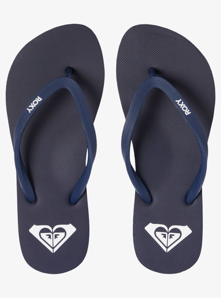 Navy Women's Roxy Azul Basic Flip Flops | USA CBNG-54039