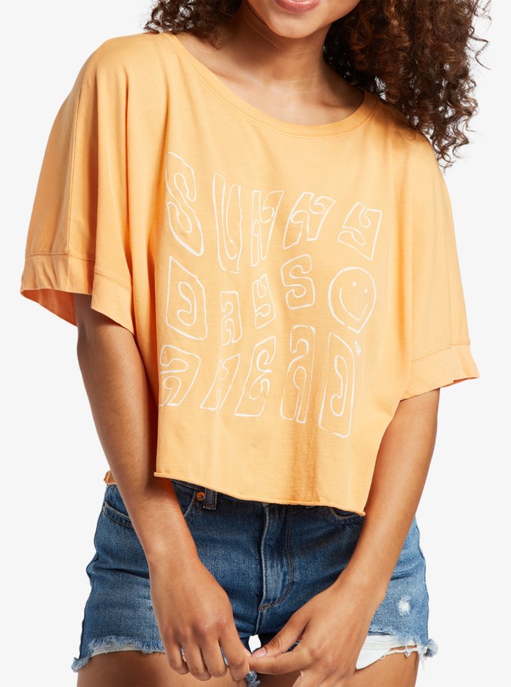 Orange Women's Roxy Sunny Smiles T Shirts | USA QGTU-91078