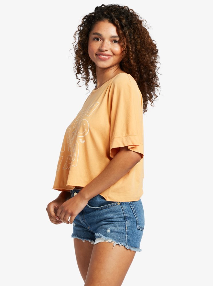 Orange Women's Roxy Sunny Smiles T Shirts | USA QGTU-91078