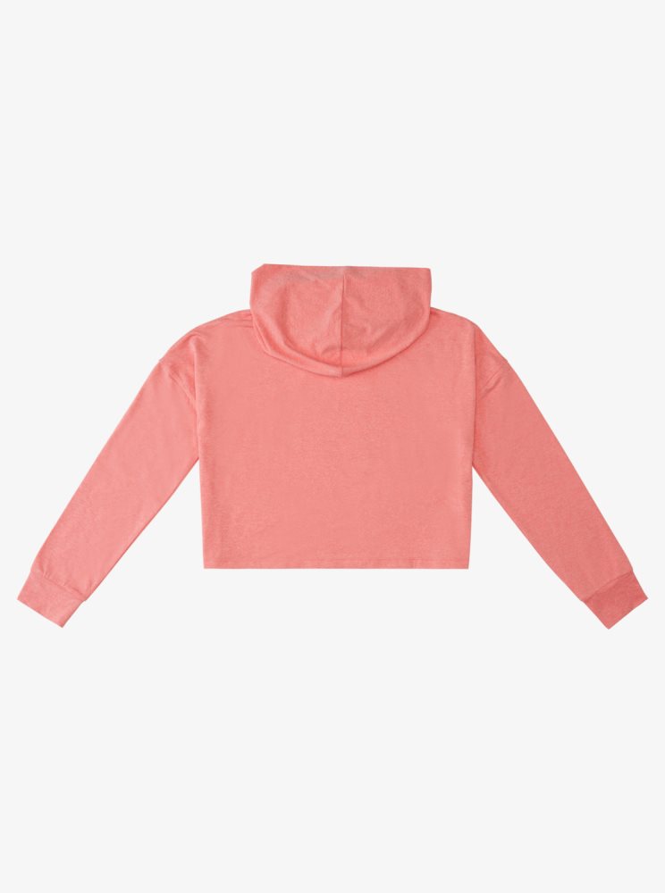 Pink Women's Roxy Sun Might Shine Long Sleeve Hooded T Shirts | USA MJNP-32698