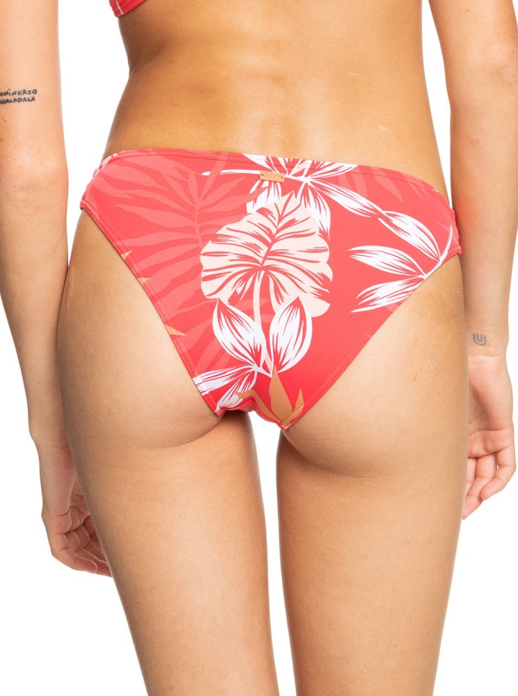 White / Red Women's Roxy Seaside Tropics Mid-Waist Bikini Bottoms | USA CDBS-14952